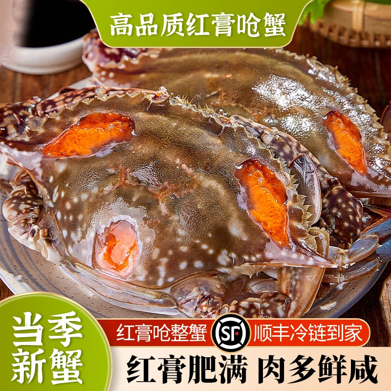 【4-6两精品红膏呛蟹】舟山特产梭子蟹新鲜腌制鲜可口肉肥饱满鲜甜
