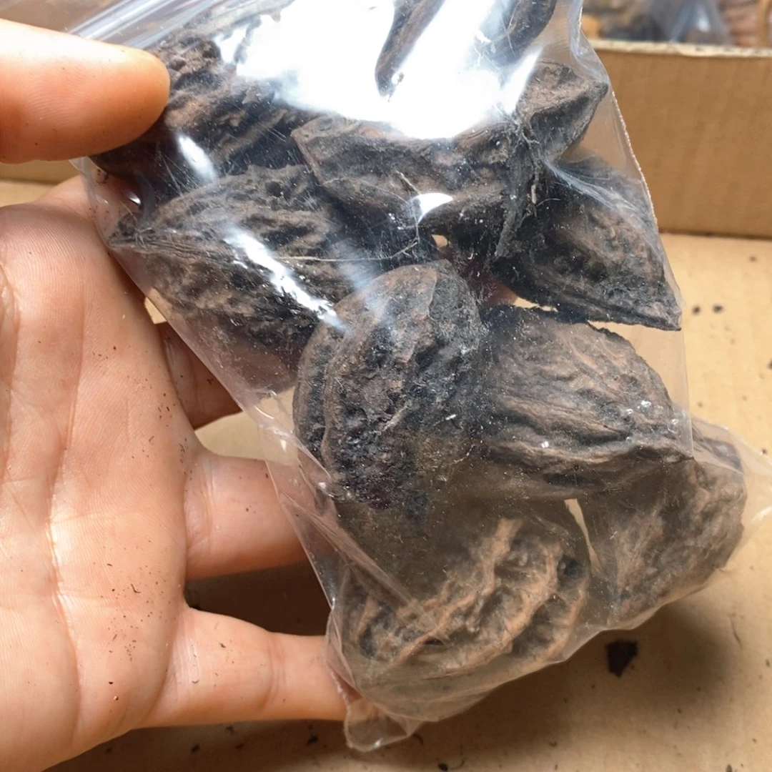 文玩核桃吊坠核桃13