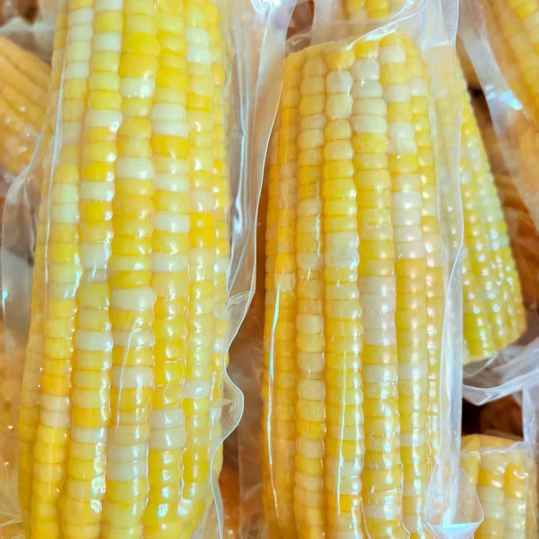【涓芝玉米】真空甜糯花玉米 每箱8支