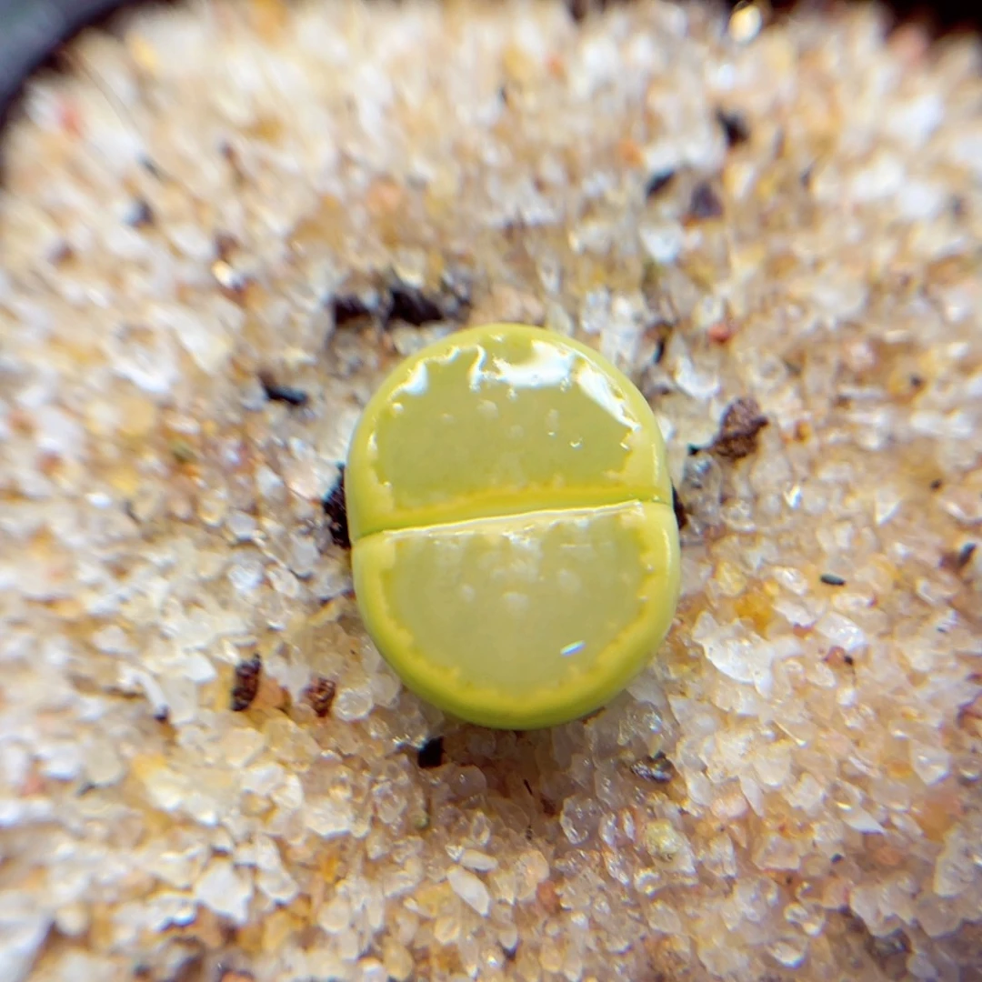 165。888888888888888888