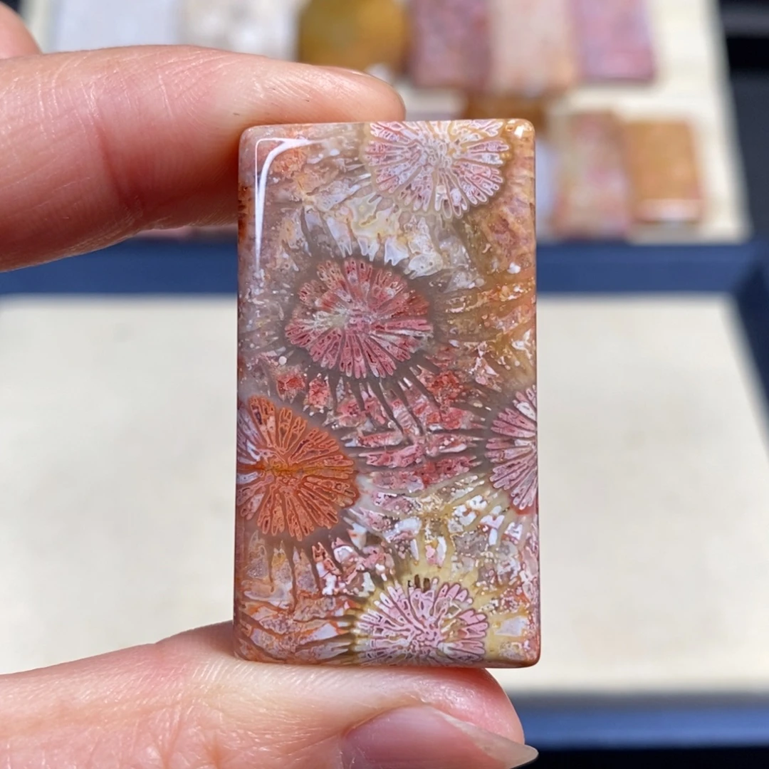 硅化玉未镶嵌吊坠