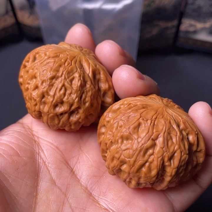 核桃41矮桩铁锤。