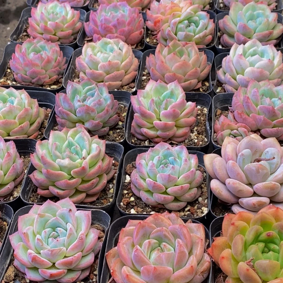 325的人在一起的时候就会