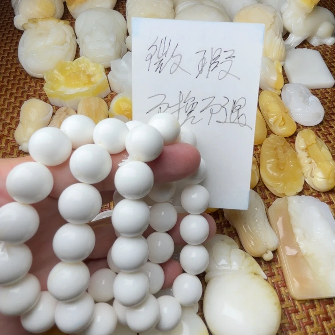 非金属贝壳天然贝壳