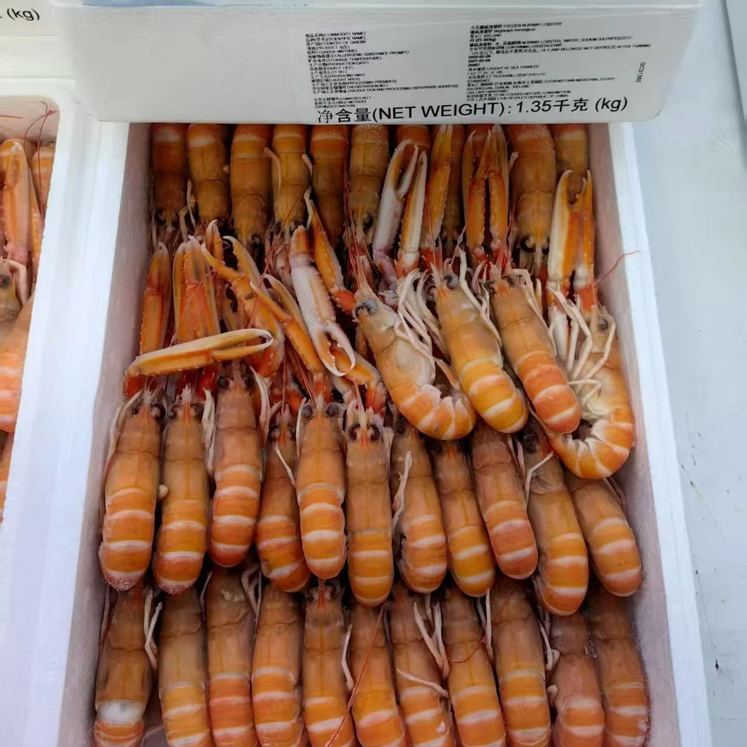 冷冻刺身英格兰鳌虾