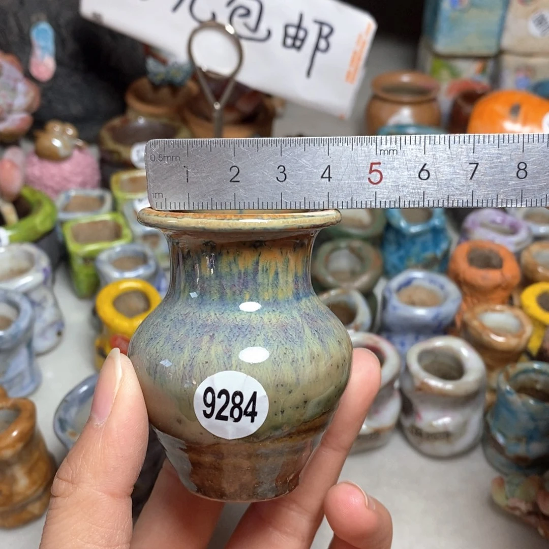 拍5送一个小礼物