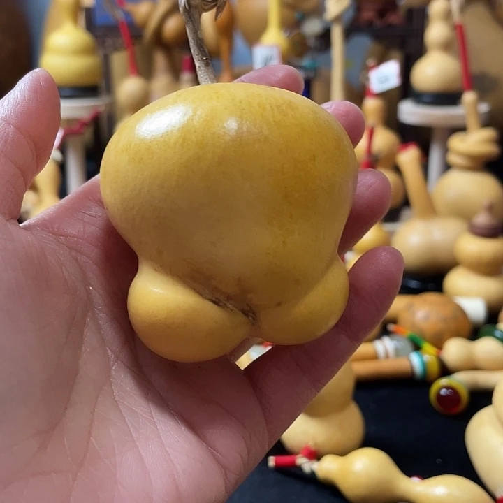 流***?葫芦丝老师在讲英语听力时光