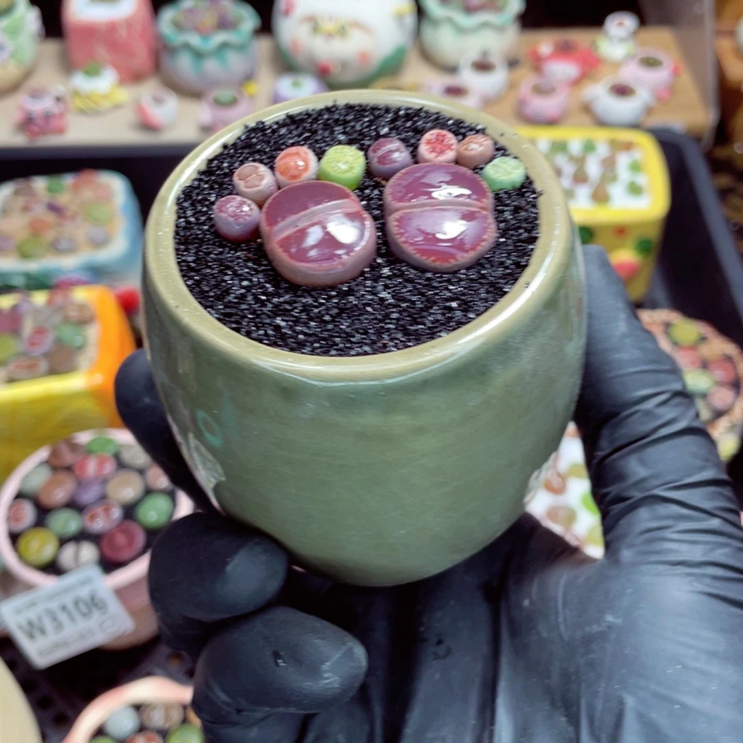 匡***忠夜间零下地区拍保温箱w3123