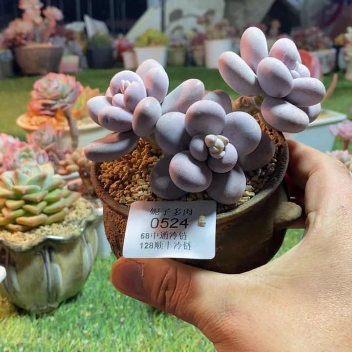 0524啊啊啊啊啊啊啊啊啊啊啊啊