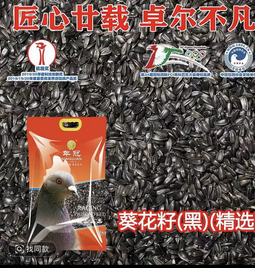 年冠黑油葵赛鸽专用黑瓜籽鸽子油葵