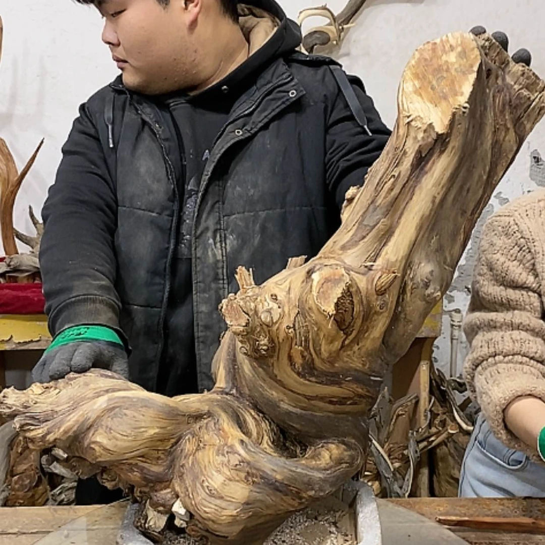 【闪购商品】柏木上****啦我们都是好孩子