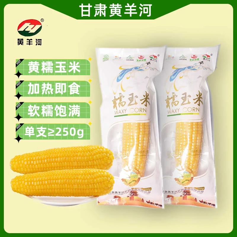 黄羊河黄糯玉米 双层飞天新包装 加热即食 武威直发