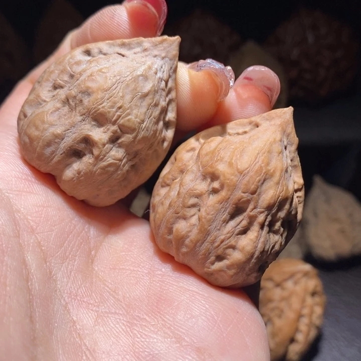 文玩核桃把件东北楸子48