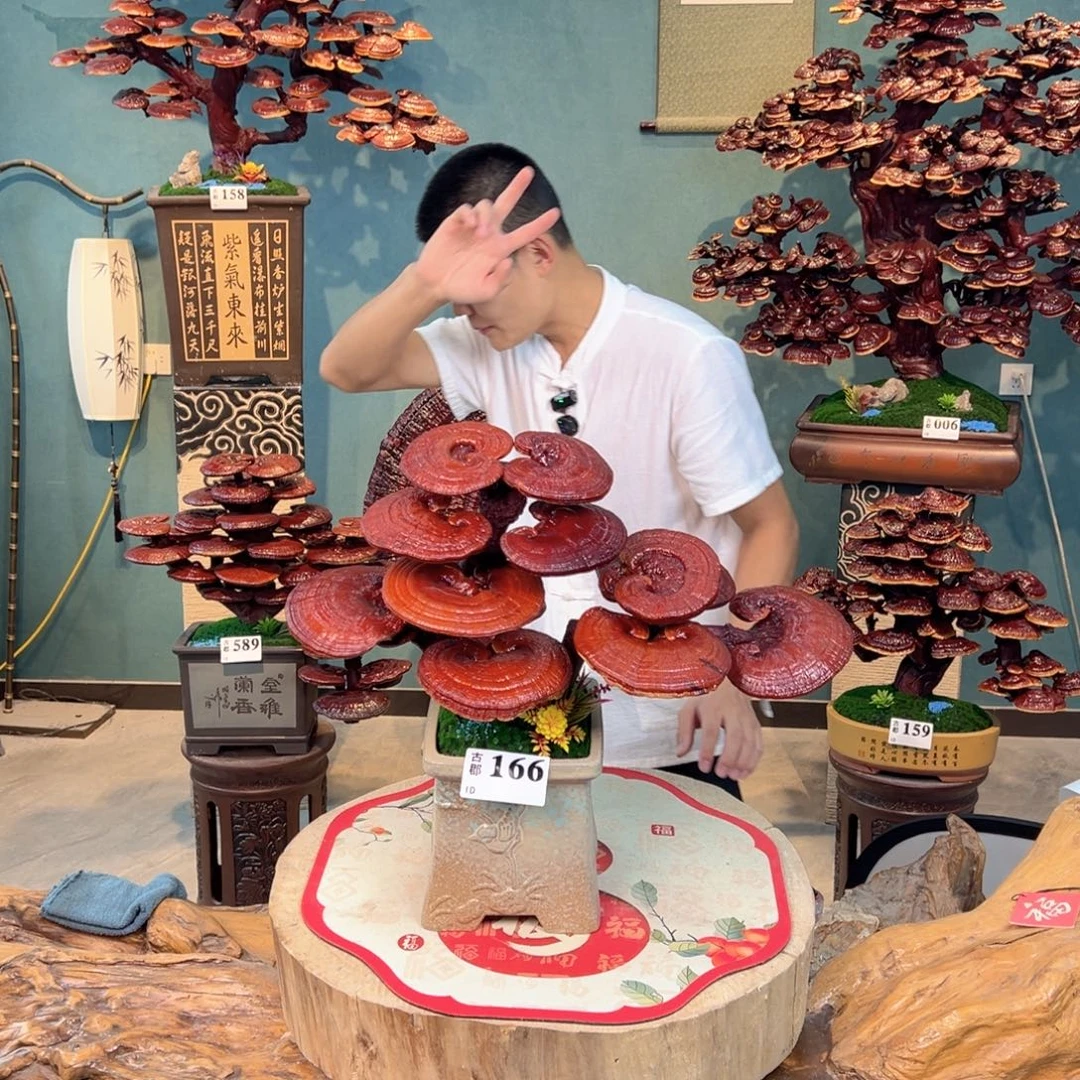 无花朵88888888888