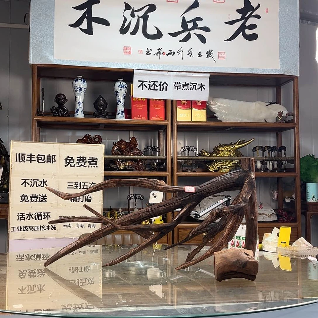 紫砂紫柚木初*一木成景
