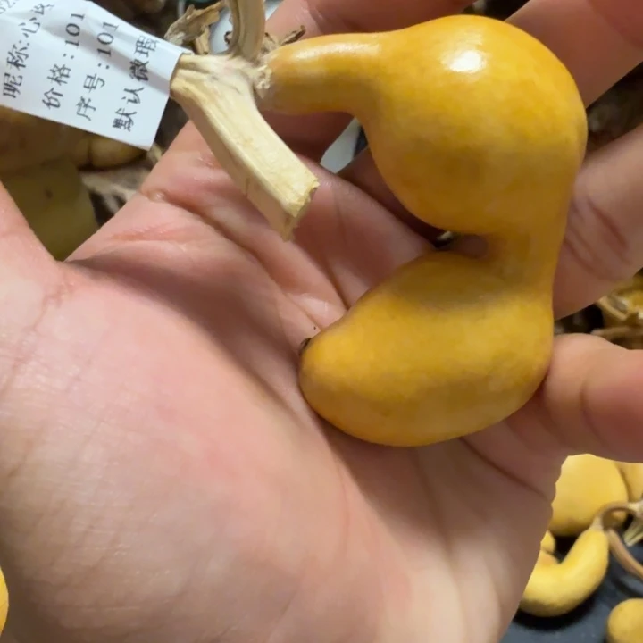 心***路66666666666666667