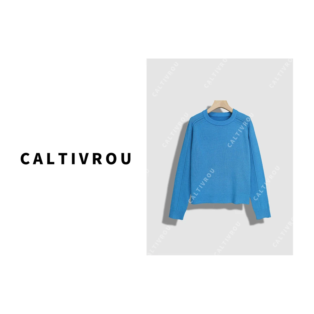 【菲儿】【100%绵羊毛】高端圆领秋冬插肩袖毛衣女打底针织上衣Y19250