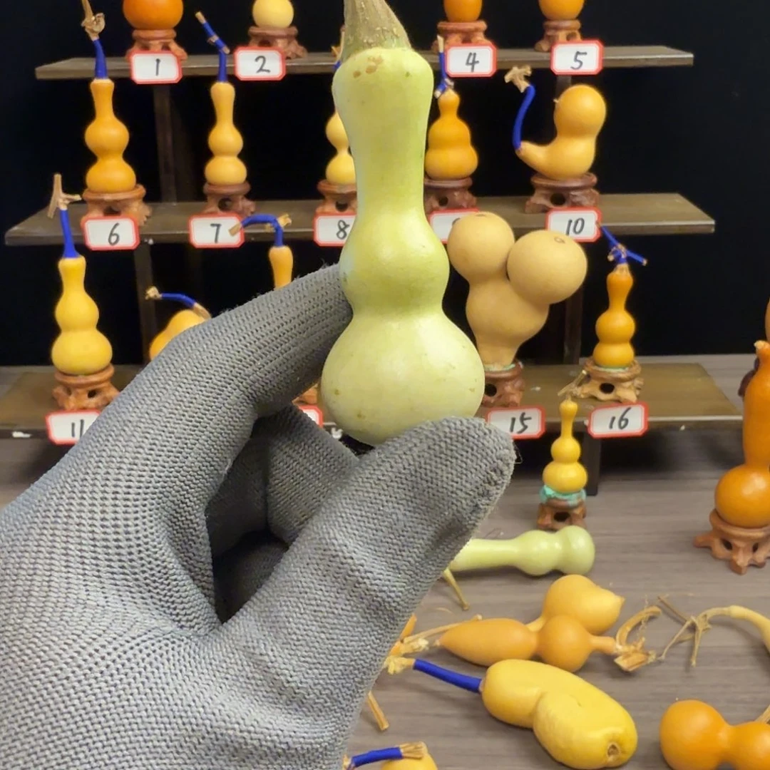 往***、木远扬工艺葫芦小店