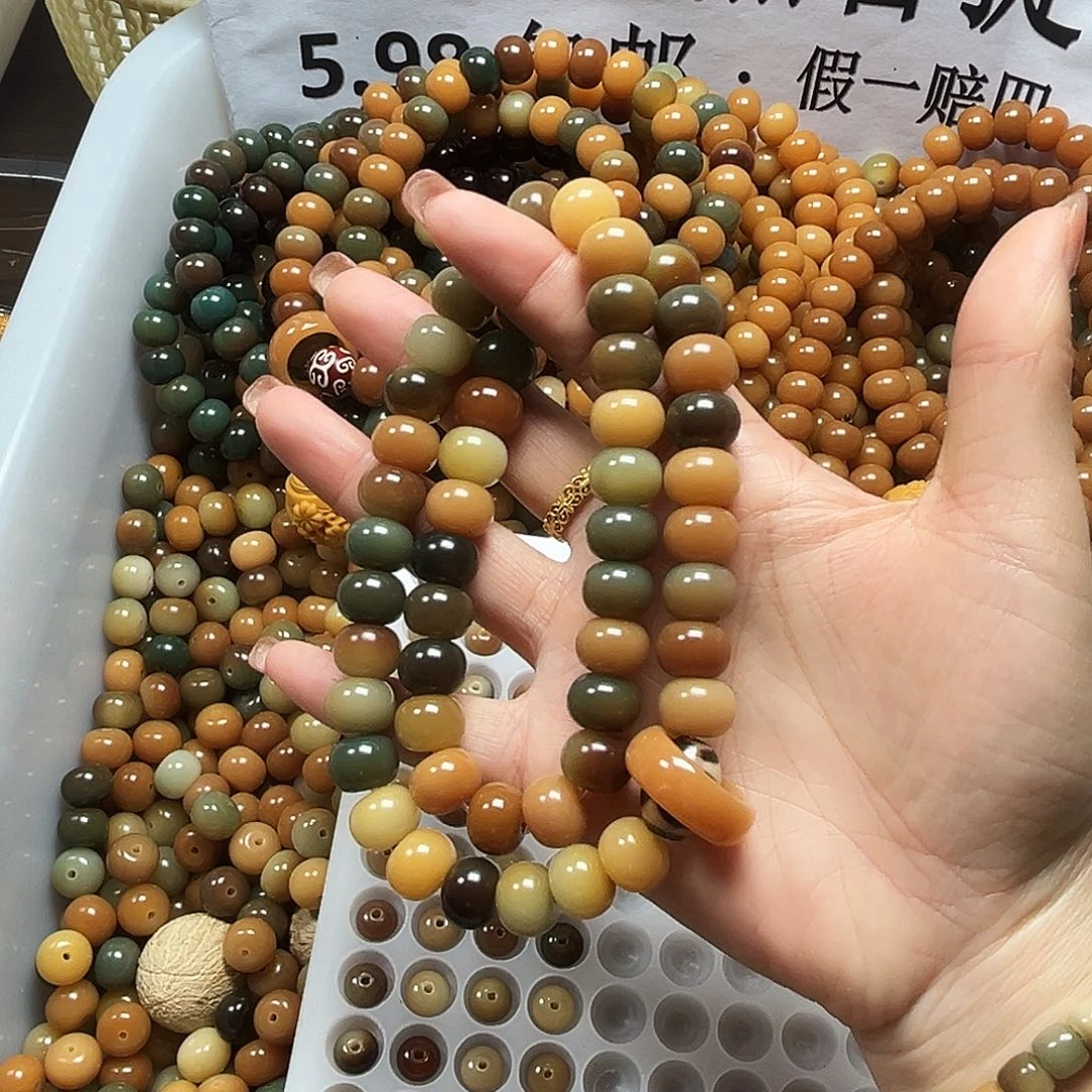 吊坠菩提根/象牙果