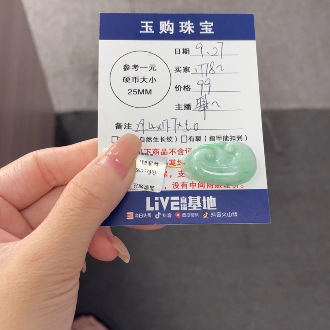 颈饰未镶嵌翡翠1****9如意