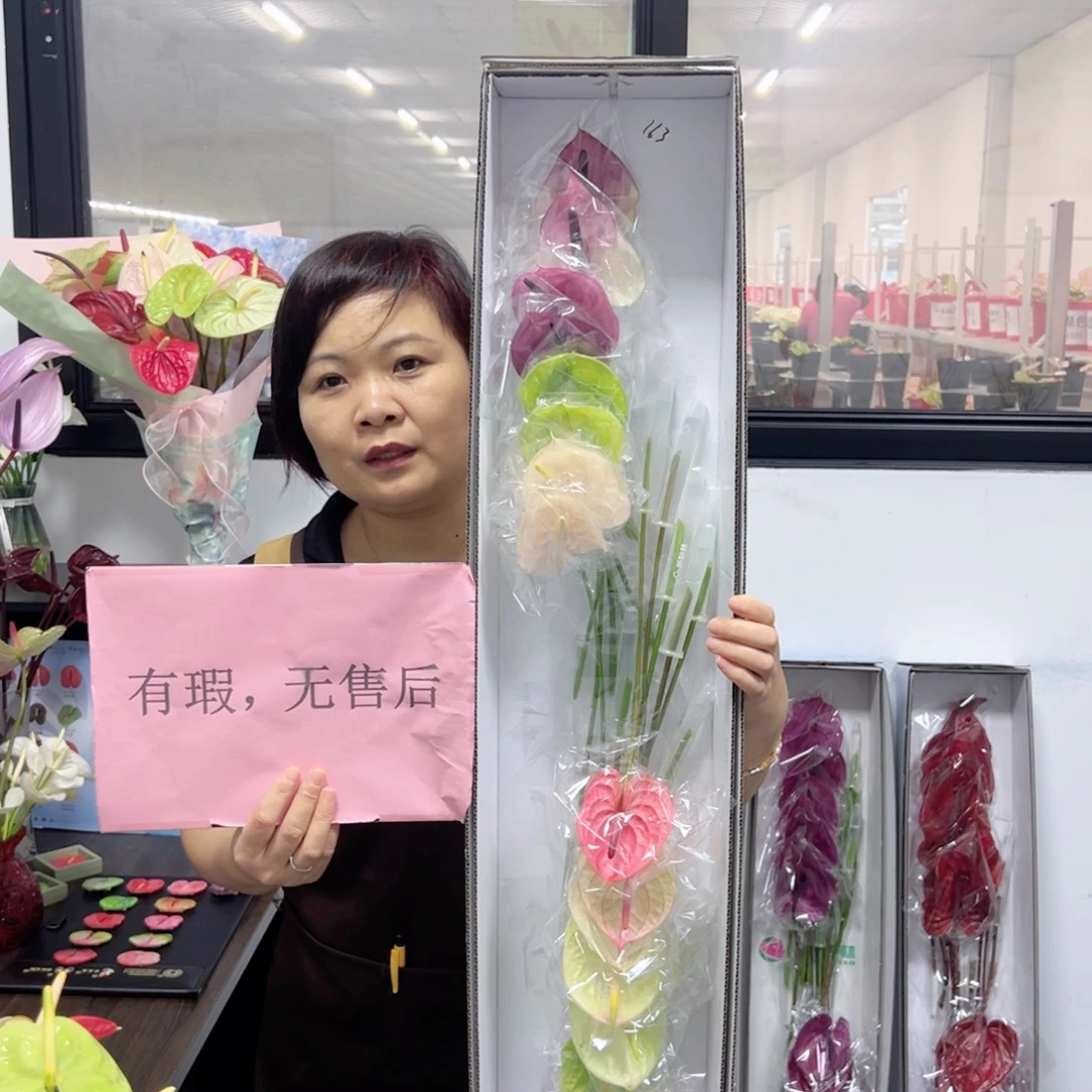 完全开放混色-16枝装无售后款163