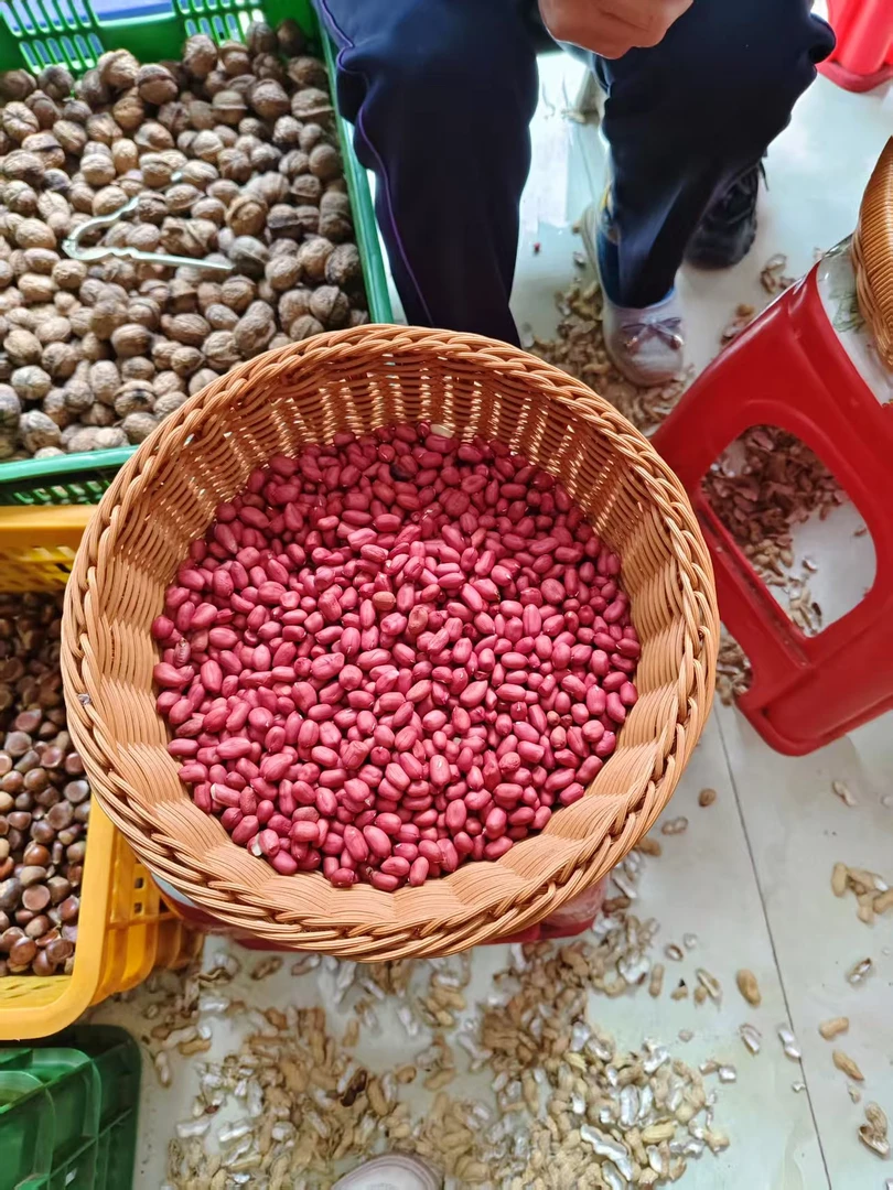 本地特产红花生米，红皮生花生去壳可炒炸食用