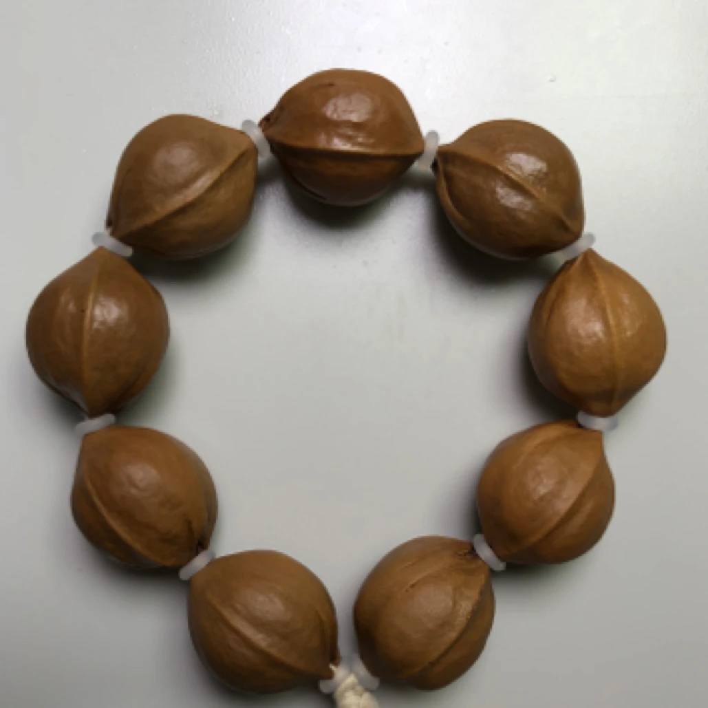 梅林铁核原皮素串2.1×2.7
