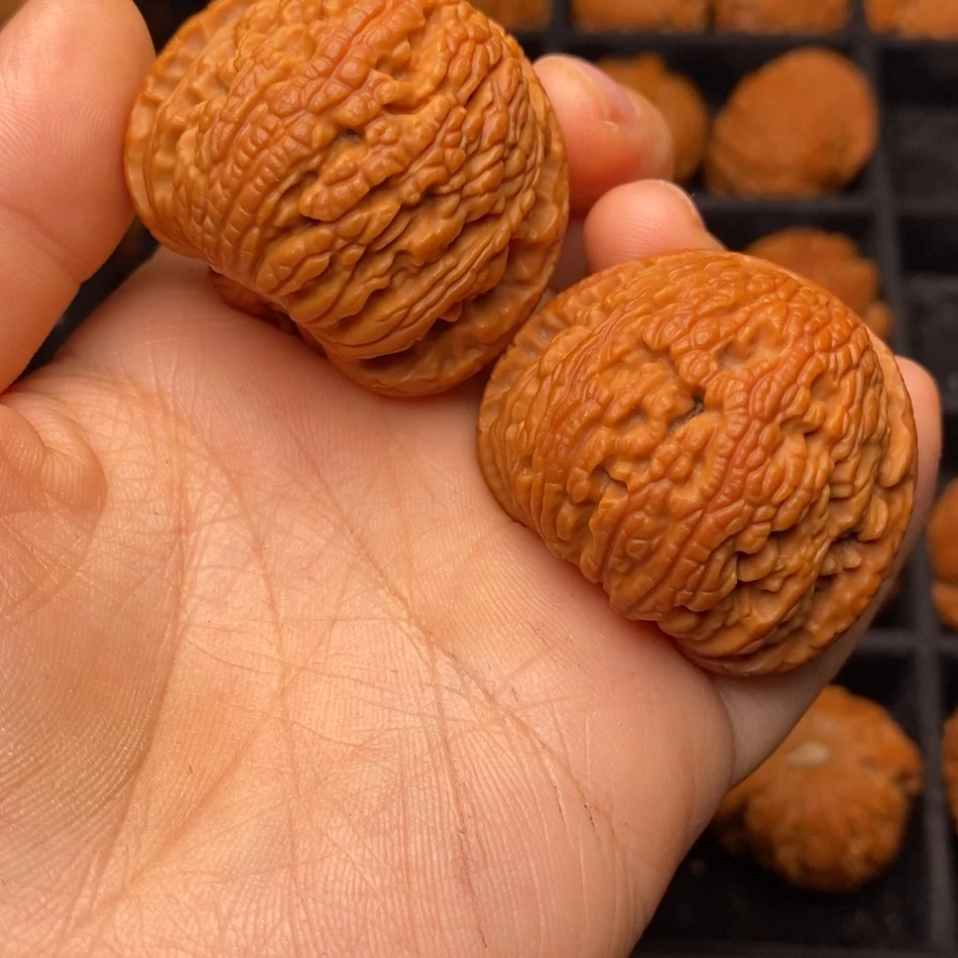 文玩核桃把件秦岭野生核桃