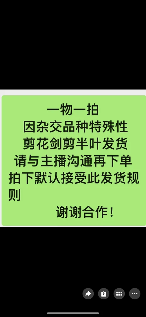 爱优辣椒姐杂交一物一拍所见所得剪花发货介意慎入一件包邮非偏远