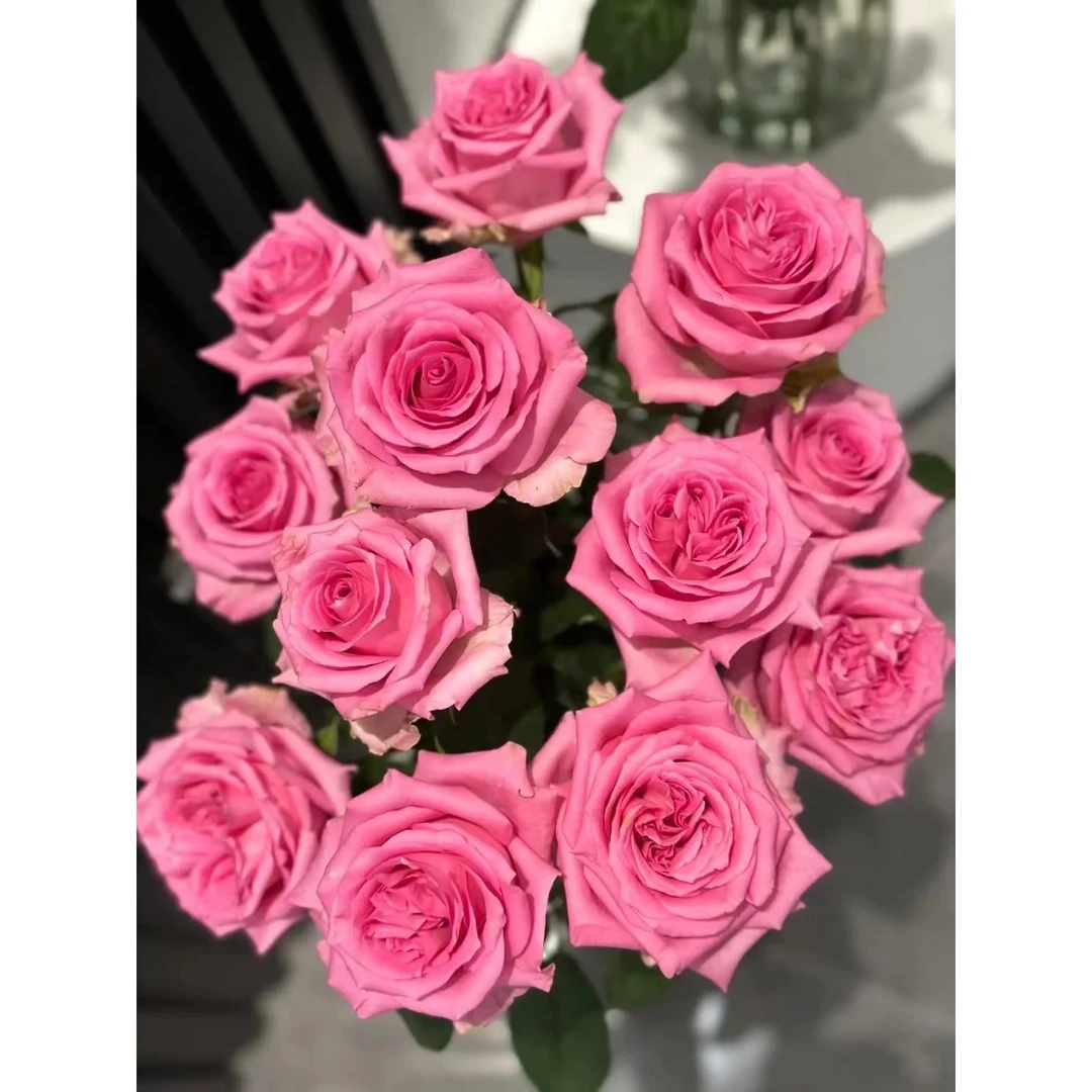 套餐66 苏醒10支+蓝腊梅一小把+粉紫绣球一支+白色单瓣紫罗兰一把