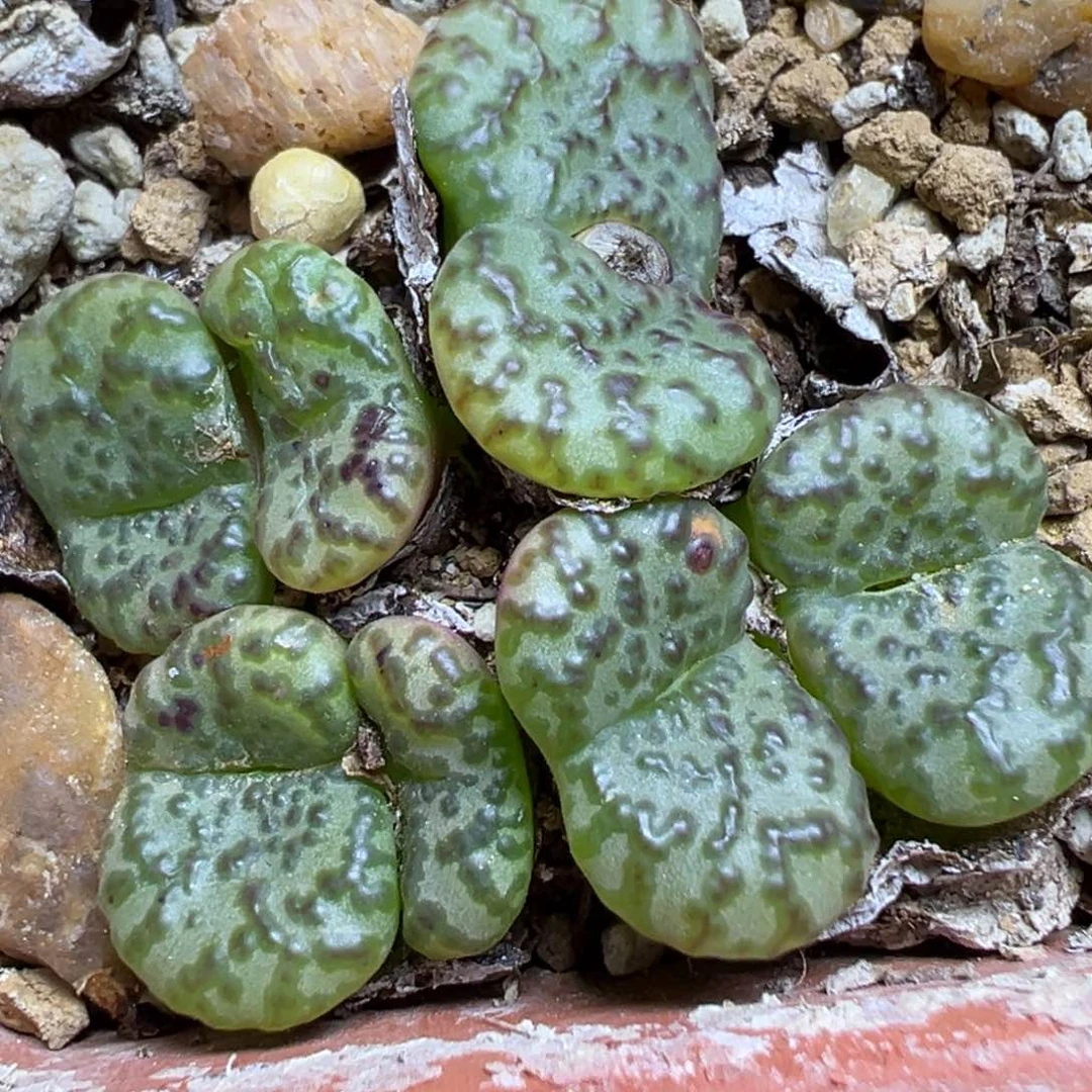 【闪购商品】712……