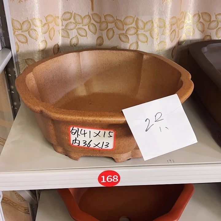 紫砂花盆榆*紫砂花盆