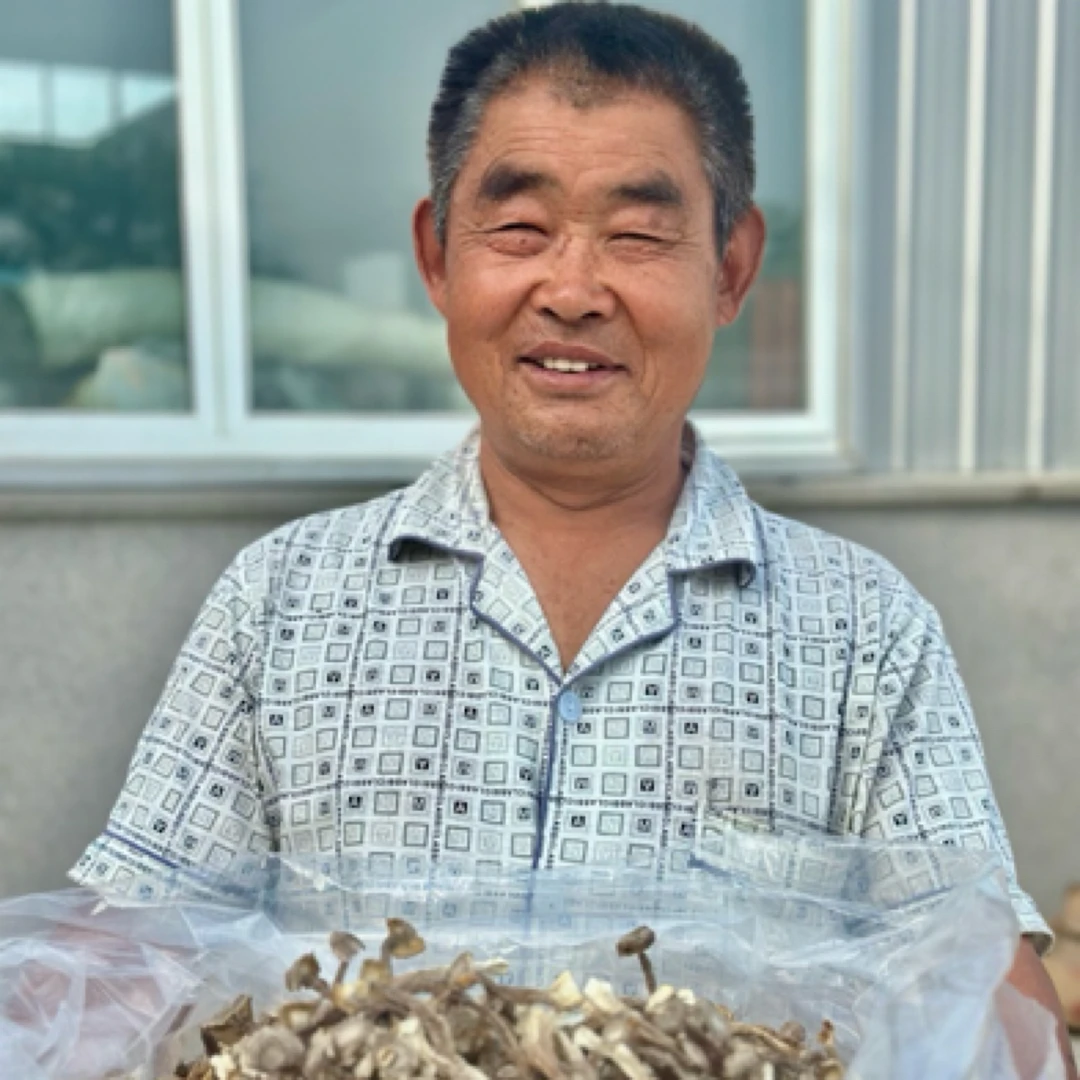 【起飞书记】打螺丝的朋友农家自种鹿茸菇