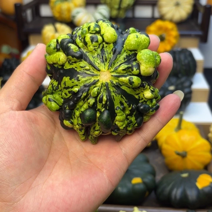 狼****福利福利福利福利