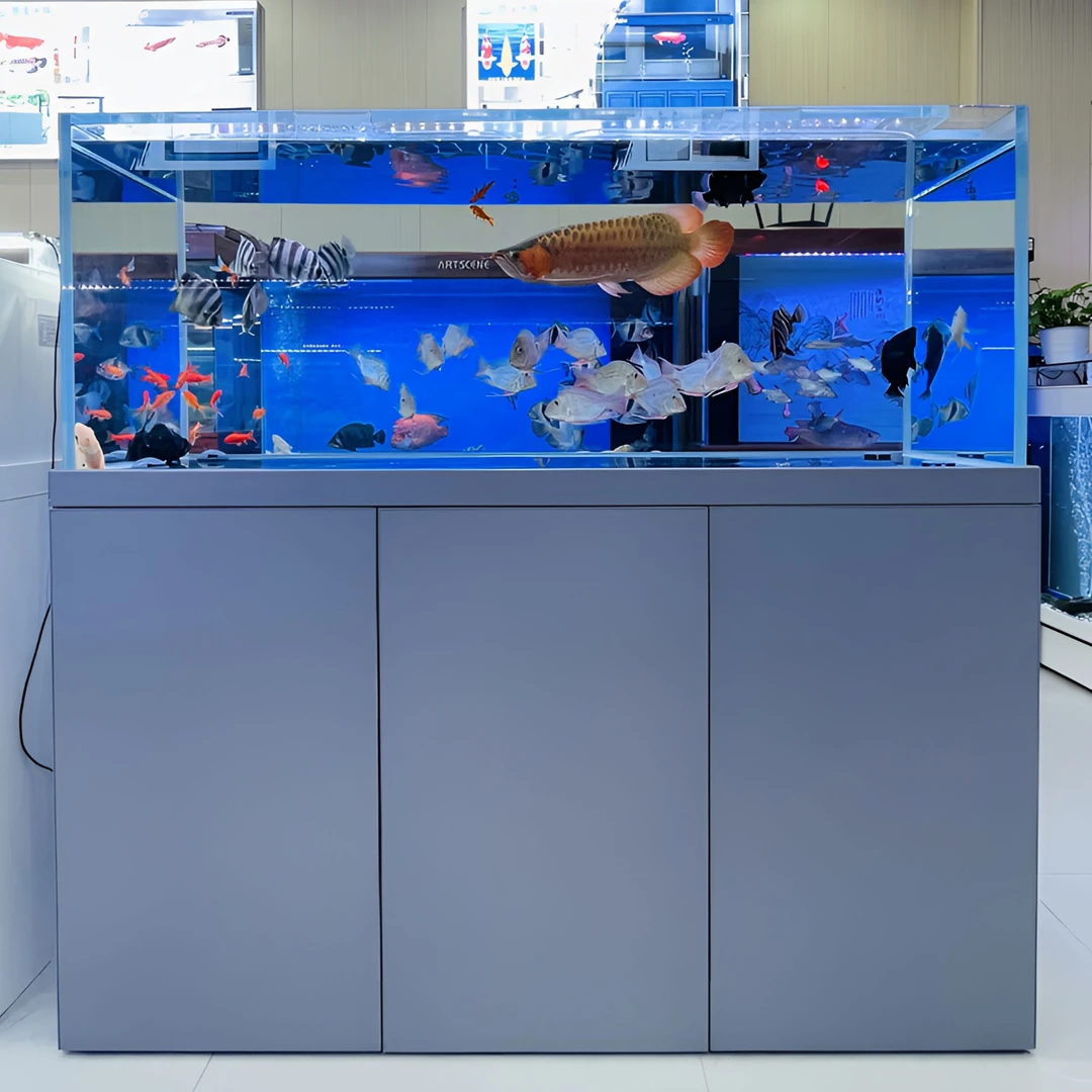 无管件南美龙鱼缸水族箱底滤家用吉罗超白兰寿功能大鱼缸含包边