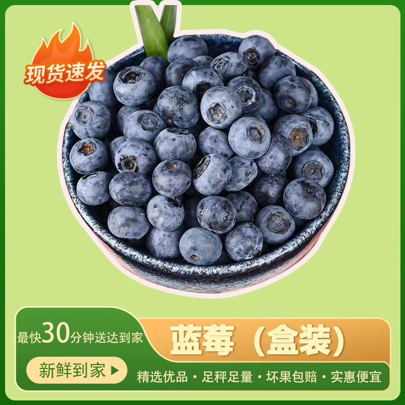 蓝莓盒装125g装（送货到家丨人工筛选丨足秤足量丨坏果必赔丨个头饱满）