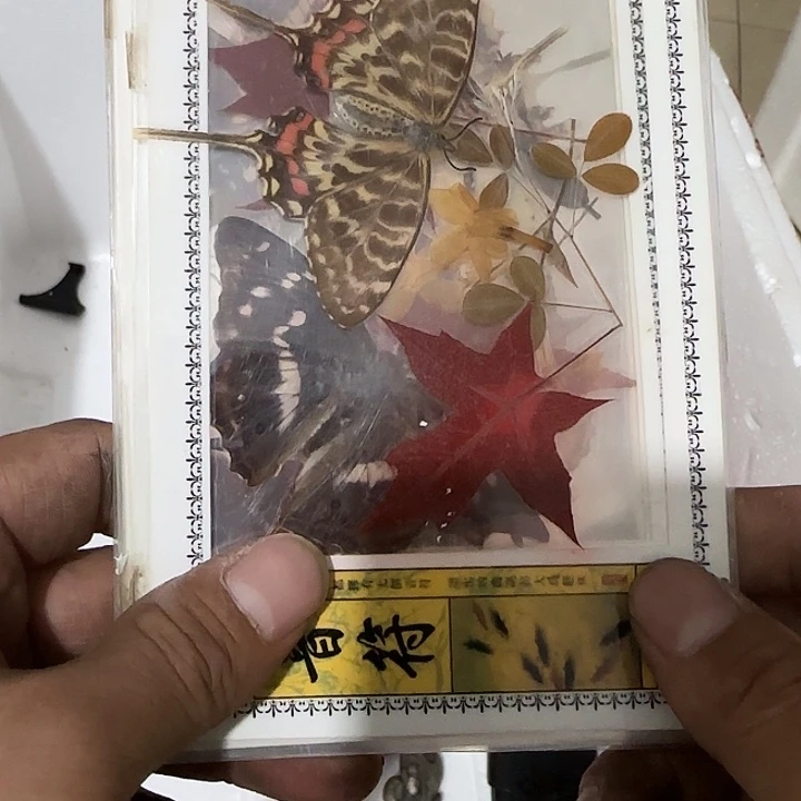 微***云扇子干活共和国哈哈宝贝吧