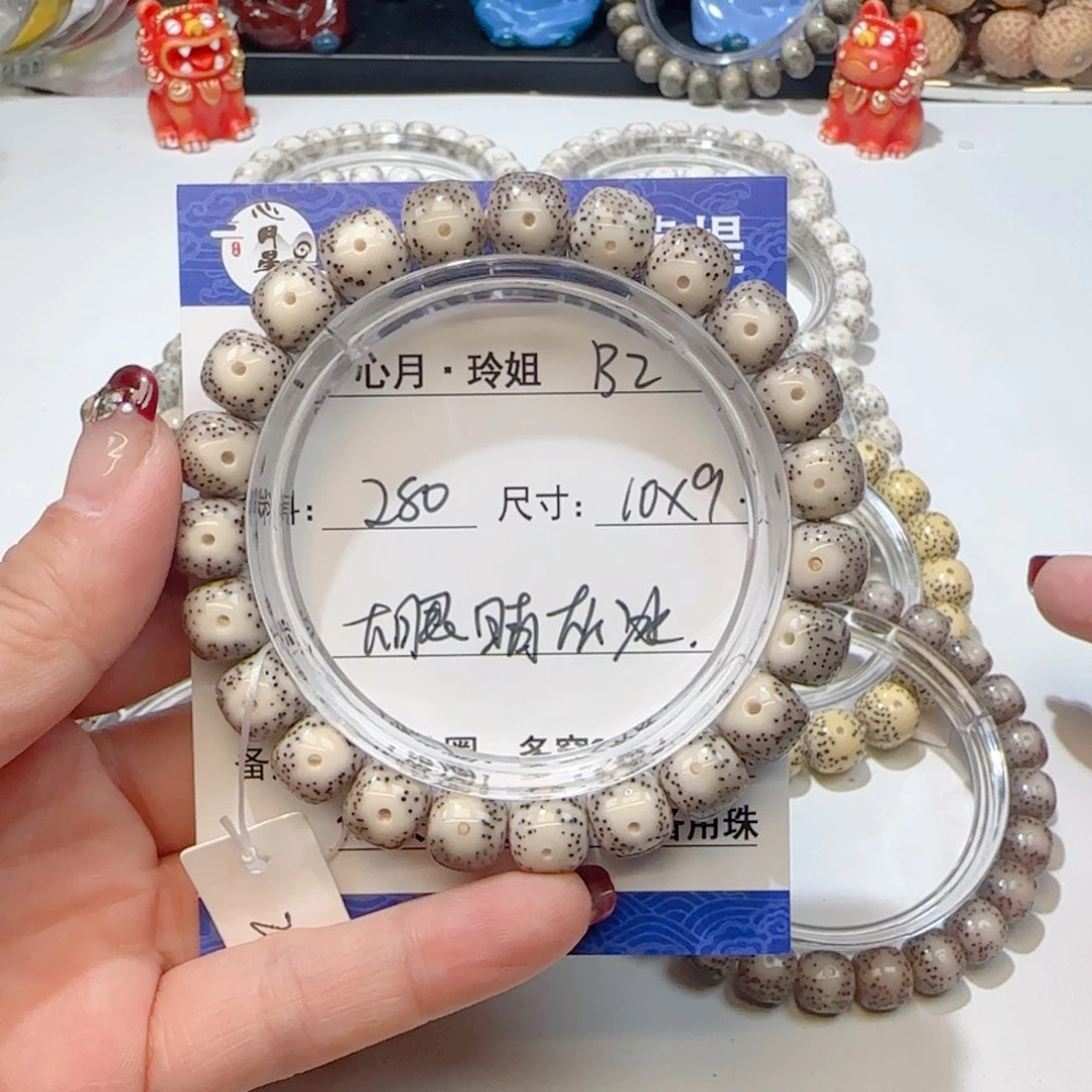 心月星月菩提一号B2