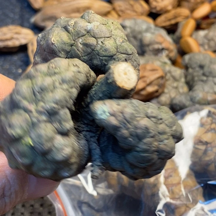 吊坠桃核娜姐真的467