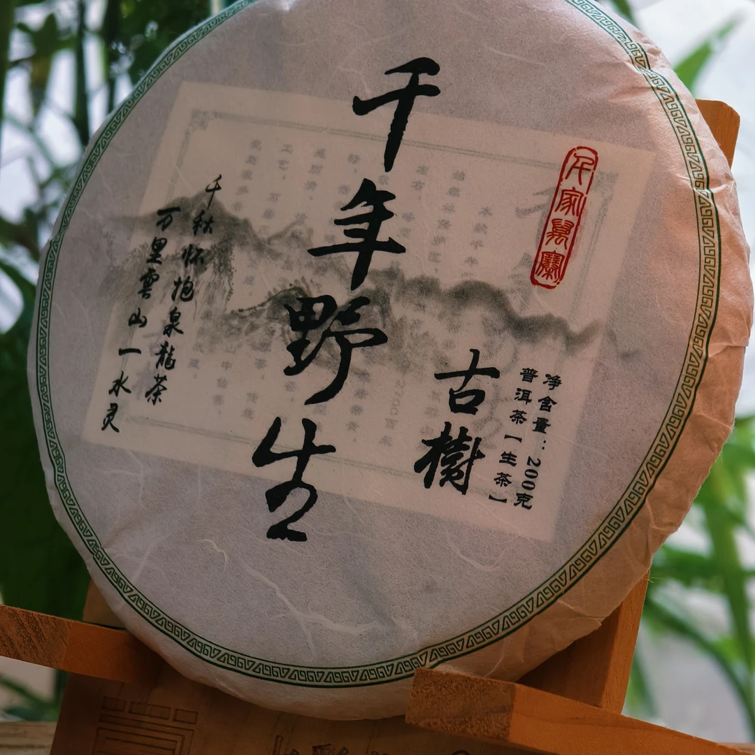 2021年哀牢山千年野生古树200克饼 普洱生茶