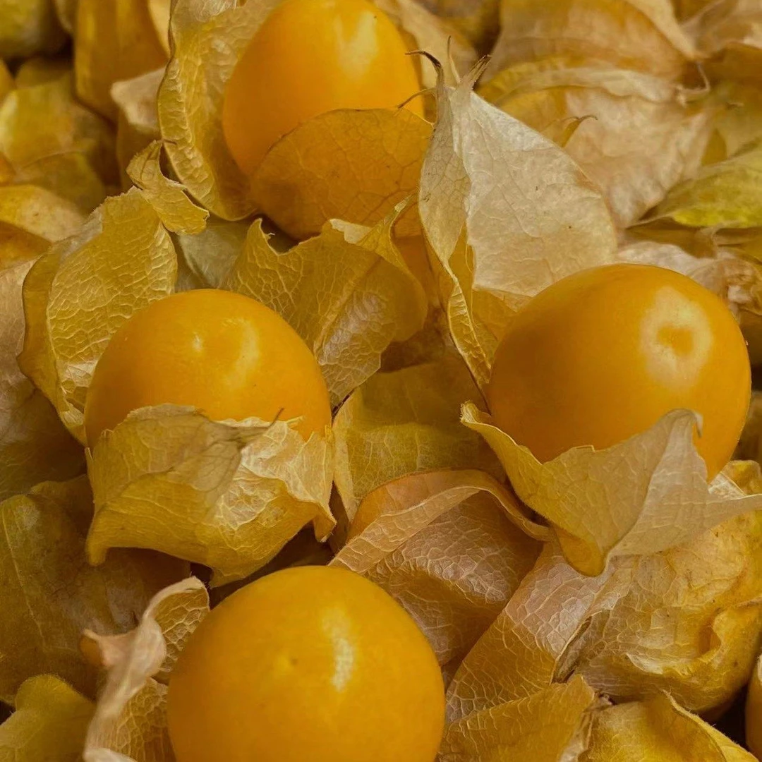 东北特产菇娘果（约250g）甜美清香