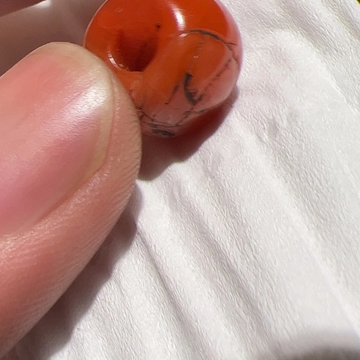 香榧木在这里的时候