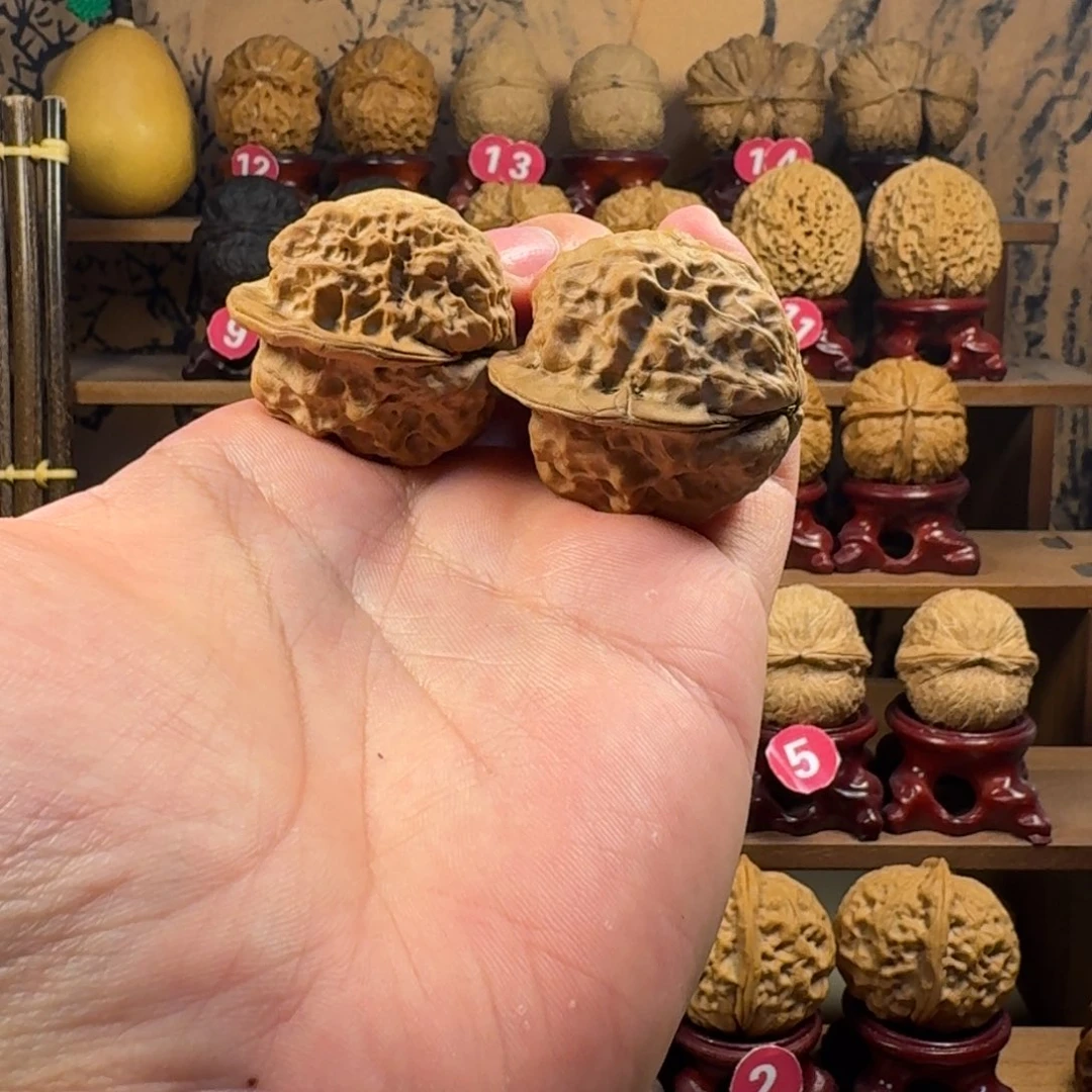 铁核桃把件荷叶蟾