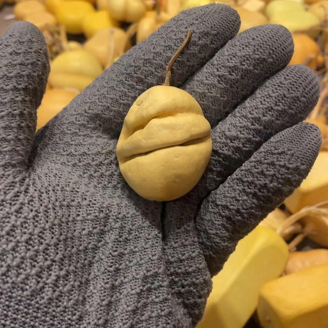 呆***桃木面包葫芦葫芦葫芦