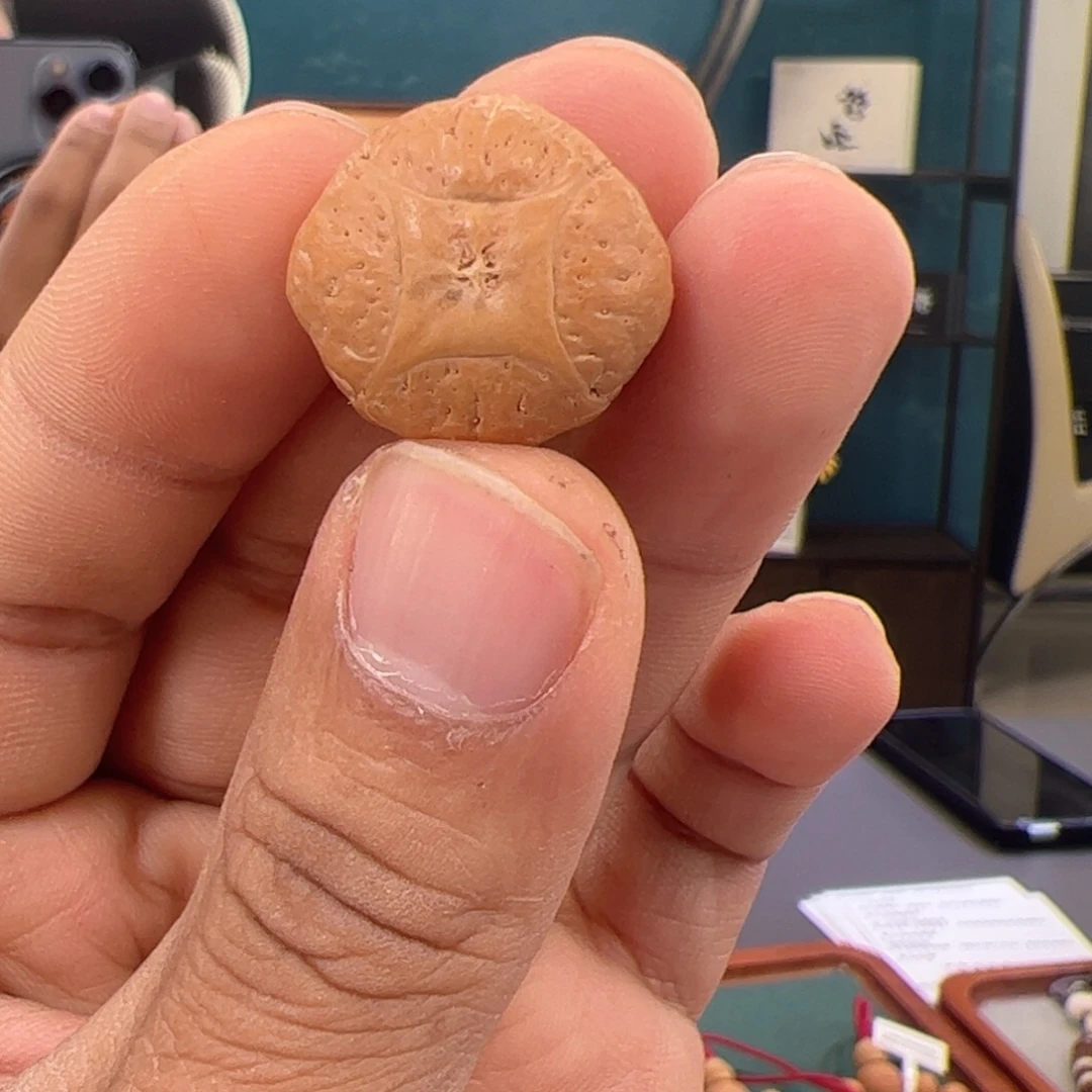 ****下吊坠凤眼菩提麒麟