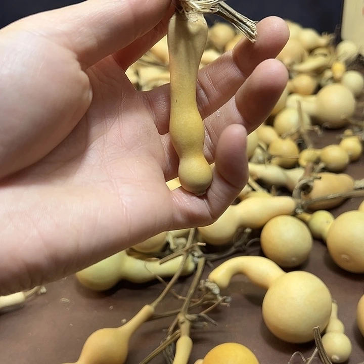 毛****11111111111111111