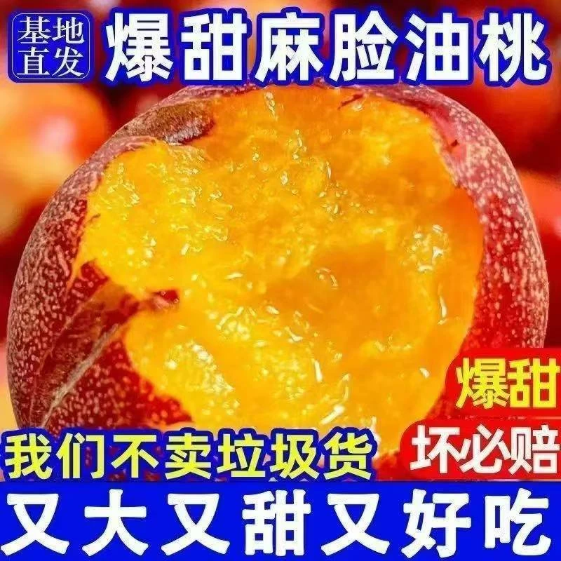 2025山东露天麻点丑桃黄心油桃当季新鲜采摘孕妇脆甜软吃蜜甜桃子