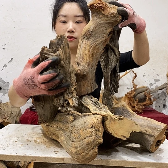 开***哥柏木我们都是好孩子呀