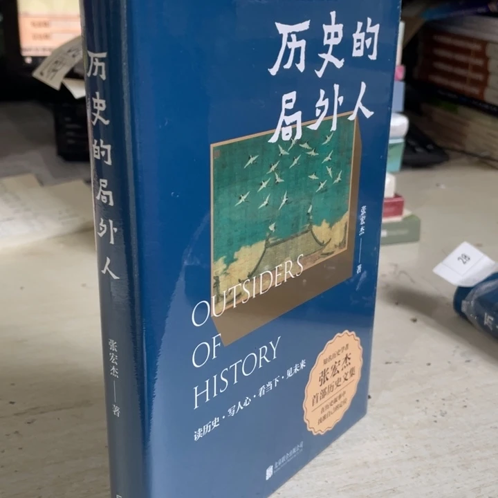 历史的局外人正版精装塑封