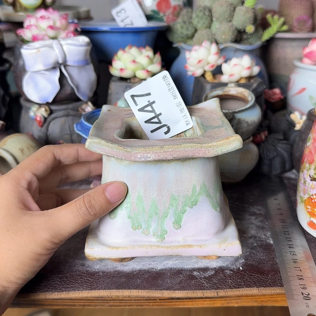 重庆小燕子欢迎大家447